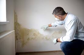 Best Comprehensive Air Testing for Mold Contaminants  in Frankfort Square, IL